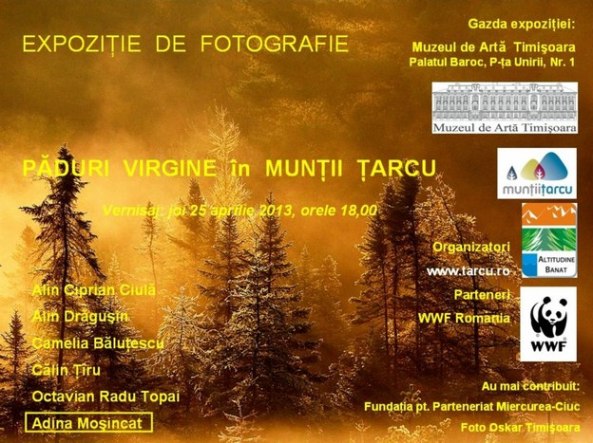Expozitie de fotografie Paduri virgine în Muntii Tarcu